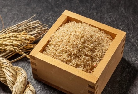 令和7年産　アースのおこめ　農薬70％減　特別栽培米　玄米5Kg (a21-084)