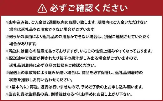 化粧箱入り プレミアムあまおう 約400g×1パック【ギフト・お祝い・贈答用】【2027年2月上旬～2027年4月上旬発送予定】 EX いちご イチゴ 苺 あまおう EXグレード 果物 くだもの フルーツ 福岡県 太宰府市