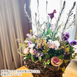 Botanical Mélange ～お花とリーフが調和する根付き植物アレンジメント～ ※2026年11月～発送