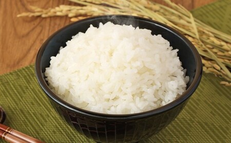 【6ヶ月定期便】 無洗米 食味鑑定士厳選 夢つくし 15kg（5kg×3袋）×6回 計90kg 米 こめ コメ お米 精米 単一原料米 ごはん ご飯 ライス おにぎり