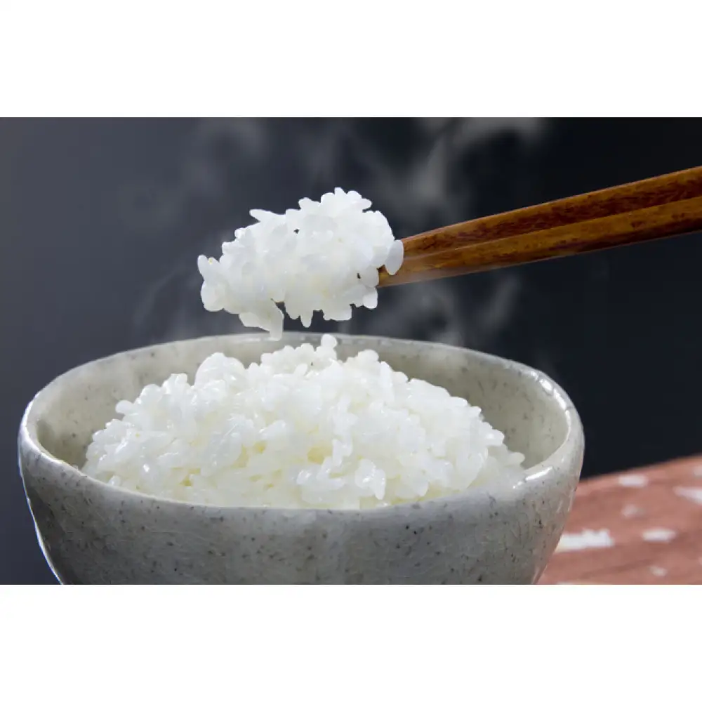令和7年北海道産 きらら397 5kg（5kg×1袋） | 米 ご飯 _05643