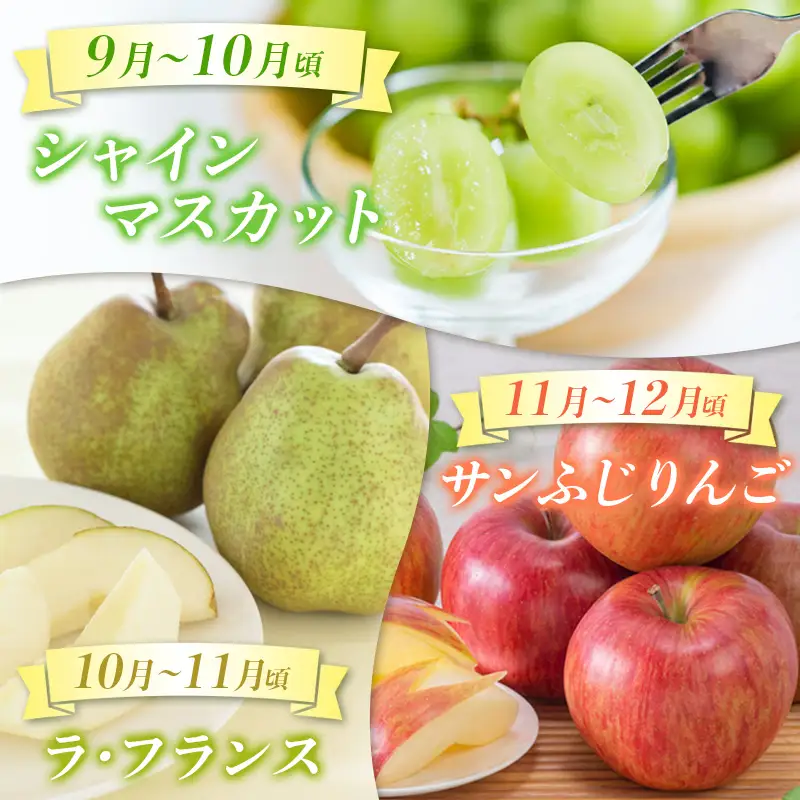 【定期便5回】☆んま～い山形☆ よく選ばれるフルーツ定期便(さくらんぼ佐藤錦／白桃／シャインマスカット／ラ・フランス／サンふじりんご) FY25-475