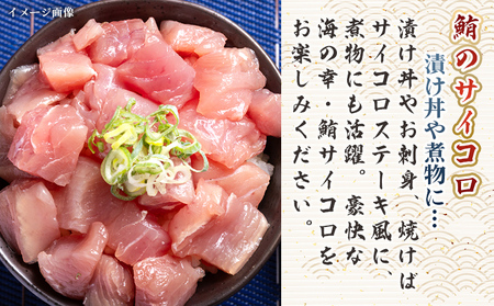 【12回定期便】まぐろ さいころサイズ(150ｇで2～3人前) 150g×8袋 - 定期便 国産 海鮮丼 漬け丼 煮物 鮪 マグロ カット済み 角切り 小分けパック 新鮮 魚介 産地直送 龍馬の海鮮隊 野島水産 高知県 香南市 Wnz-0075