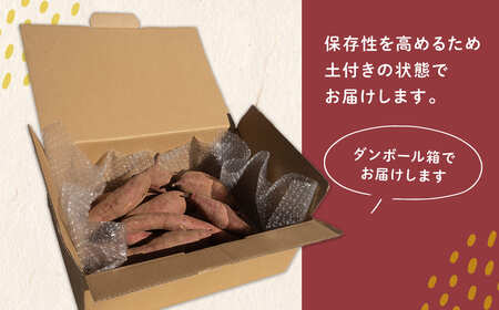 【数量限定】境町産 熟成紅はるか さつまいも 約3kg (SS～S) 土付き K2691