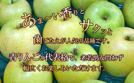 りんご【1月・2月発送】糖度13度以上 訳あり品 家庭用 王林 約10kg【青森りんご 果物 フルーツ デザート 食後 青森県産 産地直送】