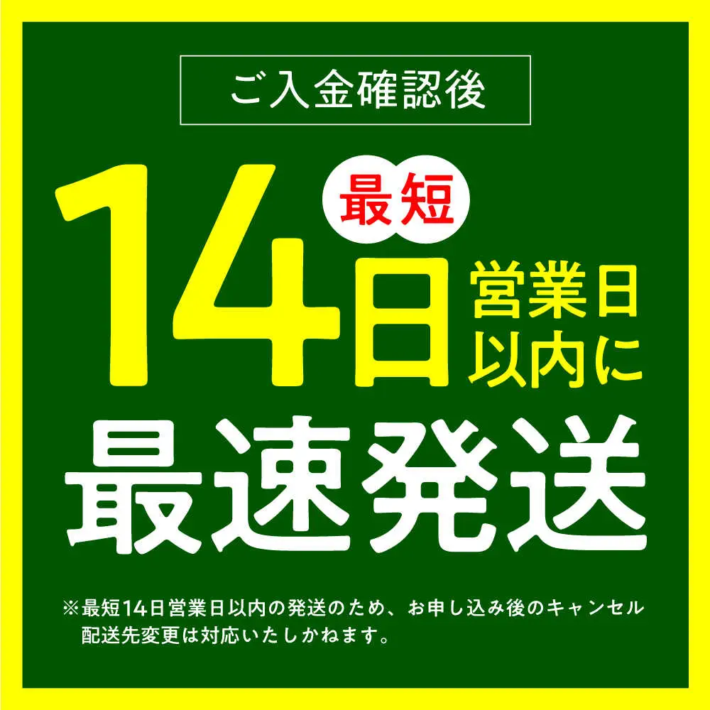 無洗米 令和7年産 夢つくし 5kg ABCO033 無洗