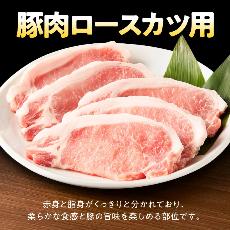 鹿児島県産 豚肉 ロース カツ用 3.2kg セット KN165-009 肉 冷凍