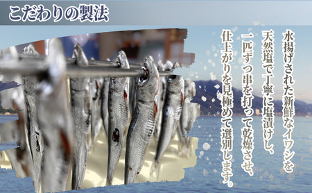 いわしめざし 60g× 8袋  マイワシ ウルメイワシ いわし