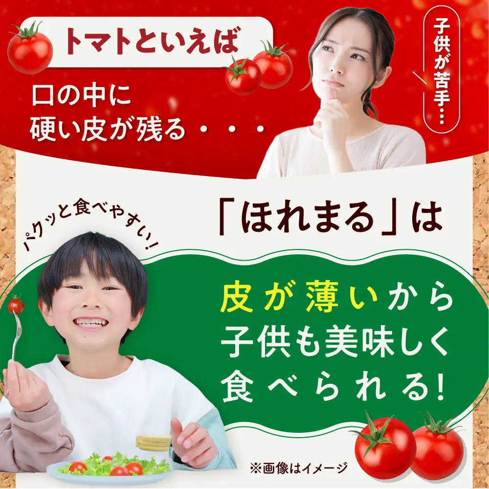 ミニトマト ほれまる 500g×4パック [AJAJ012] トマト 夏