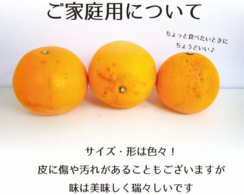 【家庭用】八朔 紅八朔 甘酸っぱさ、はじける。かつらぎの紅八朔 約４kg【2027年2月中旬～2027年2月下旬お届け予定】【A-frks189】
