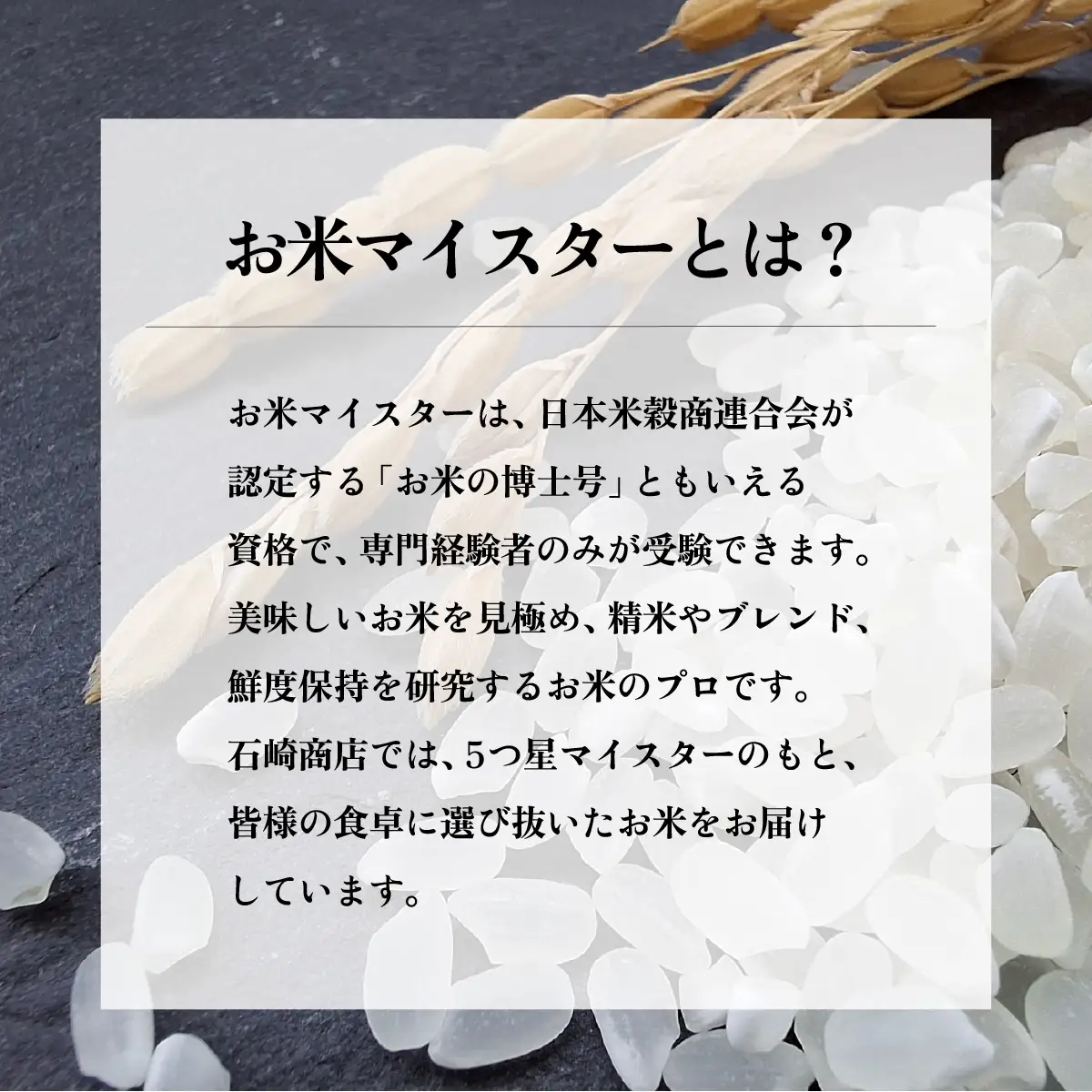 736 茨城県産 こしひかり 米 20kg (5kg×4袋)【石崎商店】