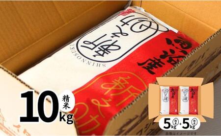 【定期便全3回毎月発送】魚沼産新之助(精米)　10kg 米 定期 新潟 十日町市
