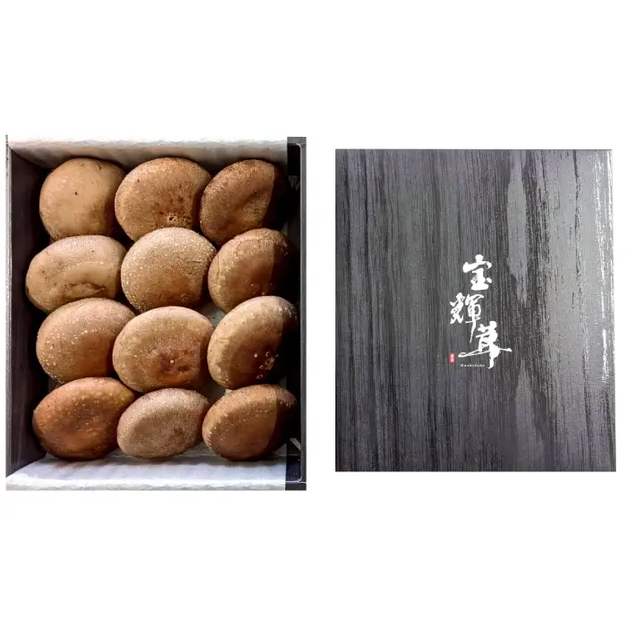 こだわり極めたしいたけ「宝輝茸」【しいたけ シイタケ 椎茸 ブランド オーガニック 極上 菌床 宝輝茸 shiitake 鳥取県 日吉津村】