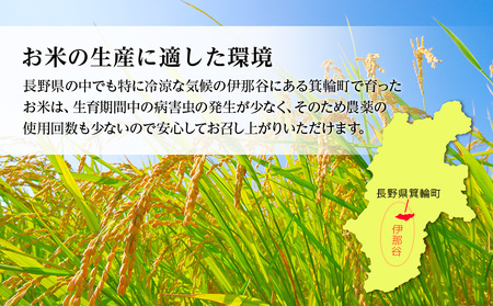【令和7年産】信州産 コシヒカリ 1等米 「山の恵みの贈り物」 20kg（10kg×2袋） （ お米 コシヒカリ 白米 搗きたて米 低温貯蔵米 食品 ) 長野県　箕輪町