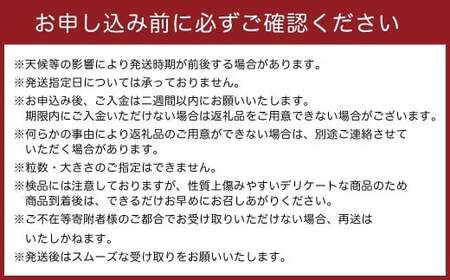 かねひろの黒酢ブラックシャインマスカット～富士の輝き （計2房／約700g以上） 【2026年9月中に順次発送予定】 ブラックシャインマスカット 葡萄 ぶどう ブドウ 果物 くだもの フルーツ 国産フルーツ 佐賀県産 太良町産 佐賀県 太良町 PB11x1