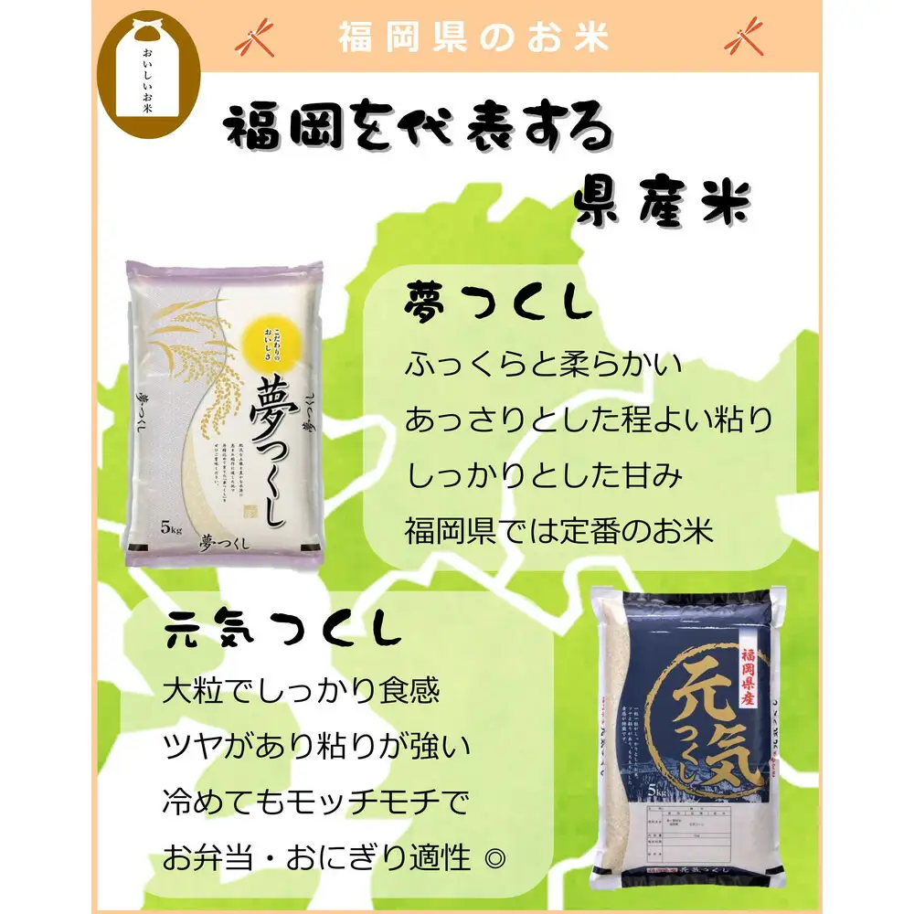福岡県産 夢つくし10kg (5kg×2袋) (令和7年産)