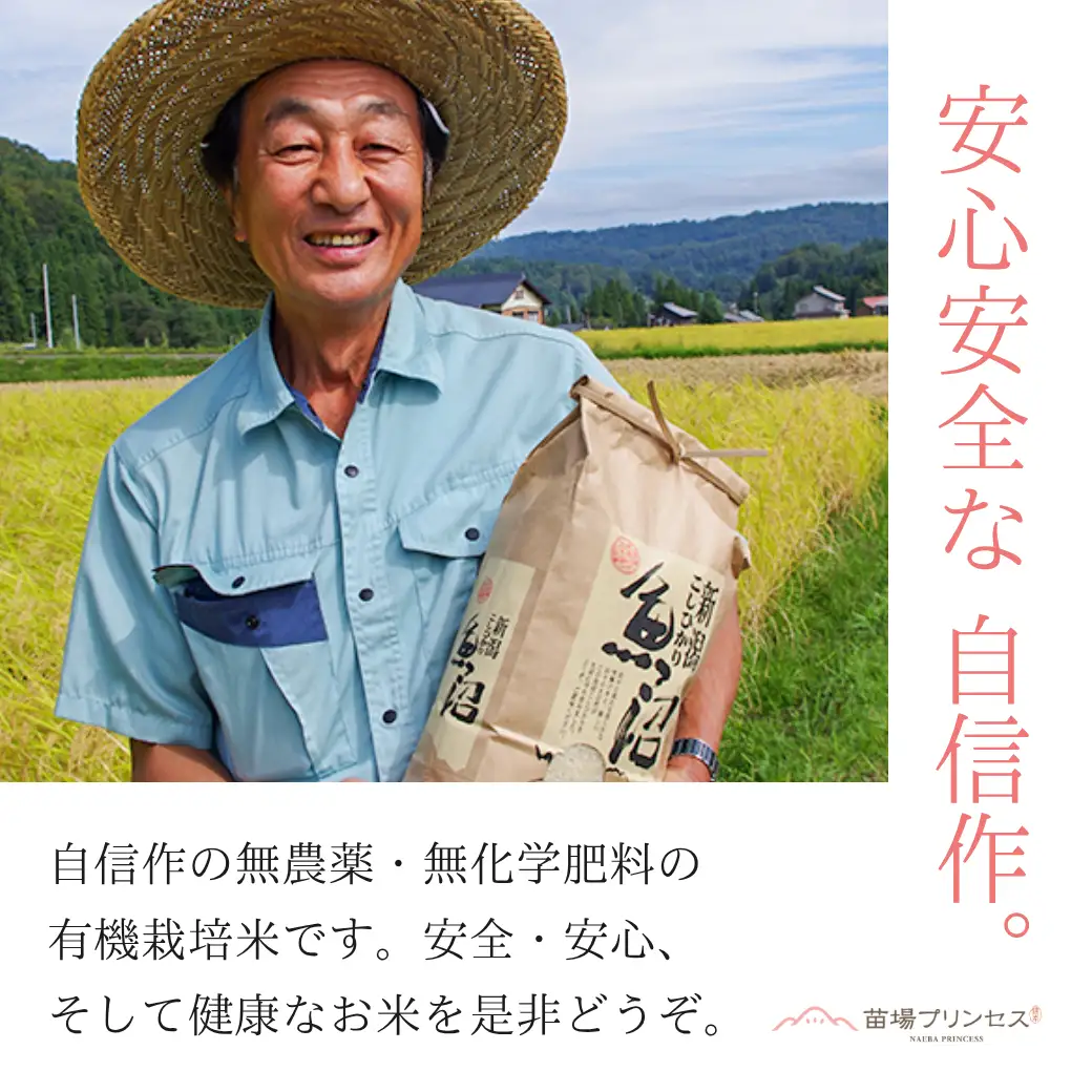 【令和8年産先行予約】魚沼産にじのきらめき 精米 27kg(9kg×3袋)   有機ＪＡＳ認証米 新潟県津南町