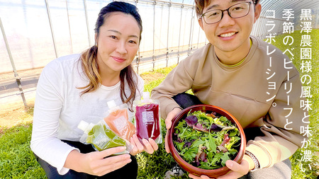 【3か月連続定期便】野菜メインの コールドプレスジュース VITALITY GREEN 200ml × 6本セット