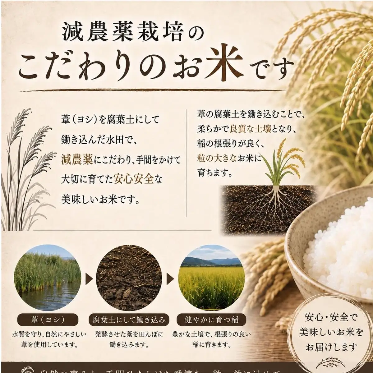 令和7年産 ササニシキ 精米 10kg（5kg×2）単品