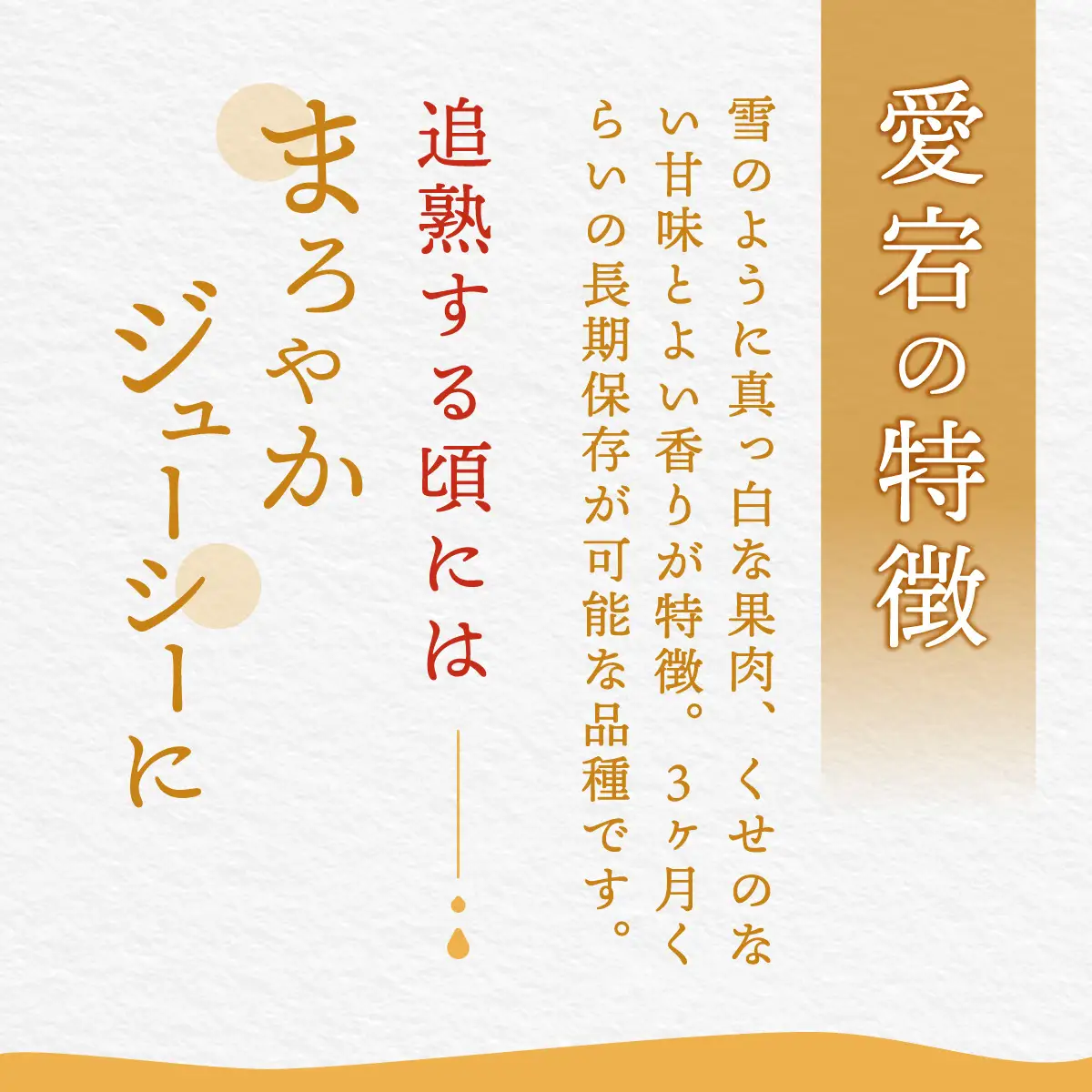 【先行予約】群馬県産ジャンボ梨「愛宕」2個(1個あたり約1.2～1.3Kg)【11月中旬～12月下旬発送予定】 ANAH002