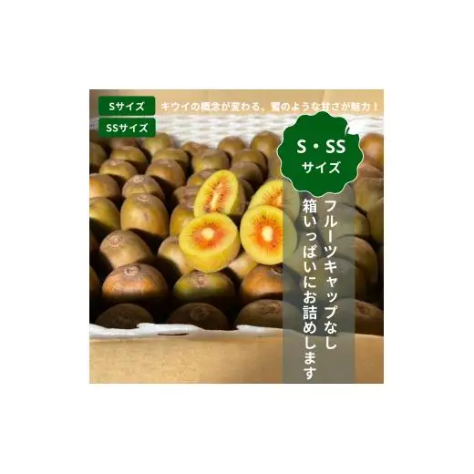 【ぽぽ農園】【訳あり・ご自宅用】レインボーレッドキウイ（四国中央市産レインボーレッド） S サイズ 約1kg（13個～17個）