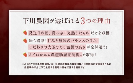 化粧箱入り 特別栽培 の 濃厚 完熟 あまおう 約450g 1パック 【2026年12月上旬～2027年4月下旬まで発送予定】 いちご 苺 果物 フルーツ