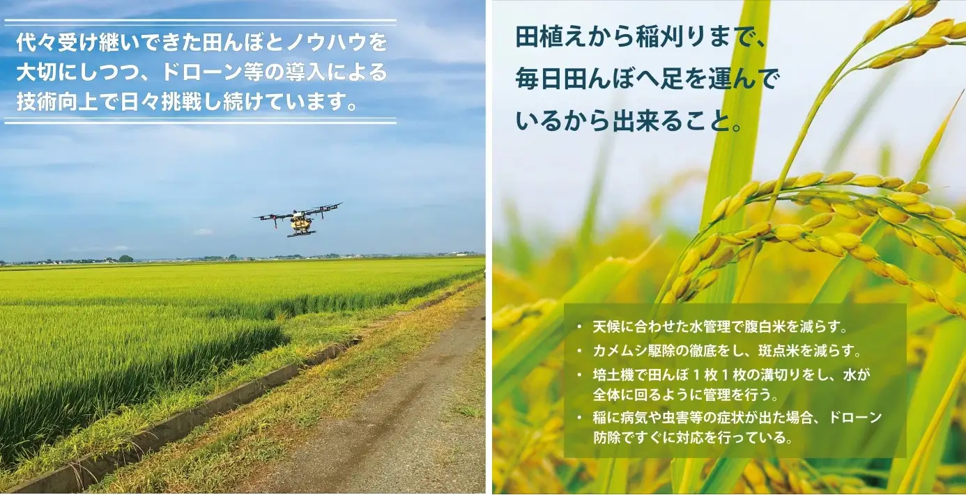 SB0943　令和7年産【白米】ひとめぼれ　10kg(5kg×2袋) YA