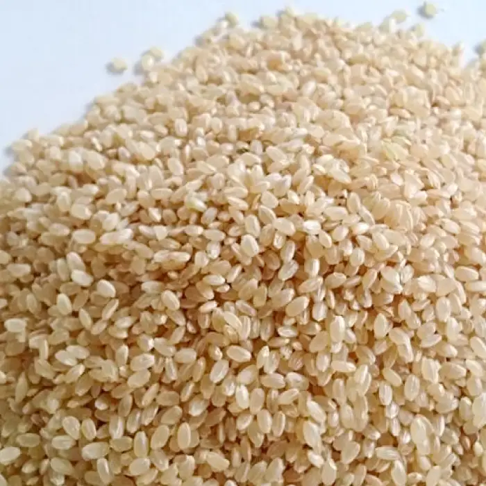 大山の一粒 玄米 2kg【玄米 2kg 2キロ こめ コメ げんまい ゲンマイ 先行予約 お米 こしひかり コシヒカリ ごはん ライス 国産 お取り寄せ 鳥取県 大山町】
