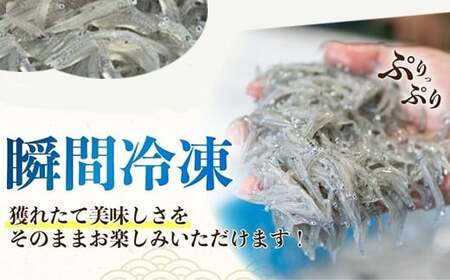 土佐のお刺身「生しらす」3個 タレなし【しらす】