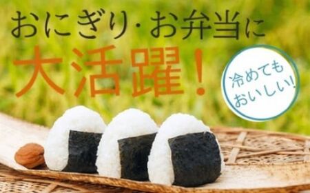 【先行予約】こしひかり 令和8年産 小松市産 ゆめみづほ 精米 5kg 米 小松市産こしひかり 石川県【JA小松市】