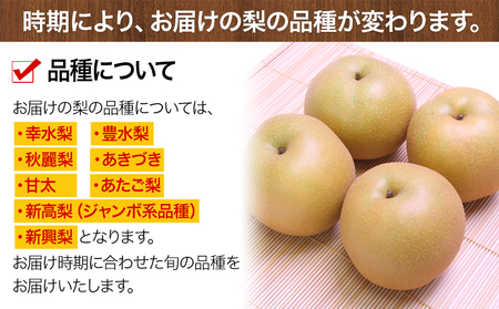 くまもと梨 約5kg 梨 熊本県産　《8月下旬-11月中旬頃出荷予定》
