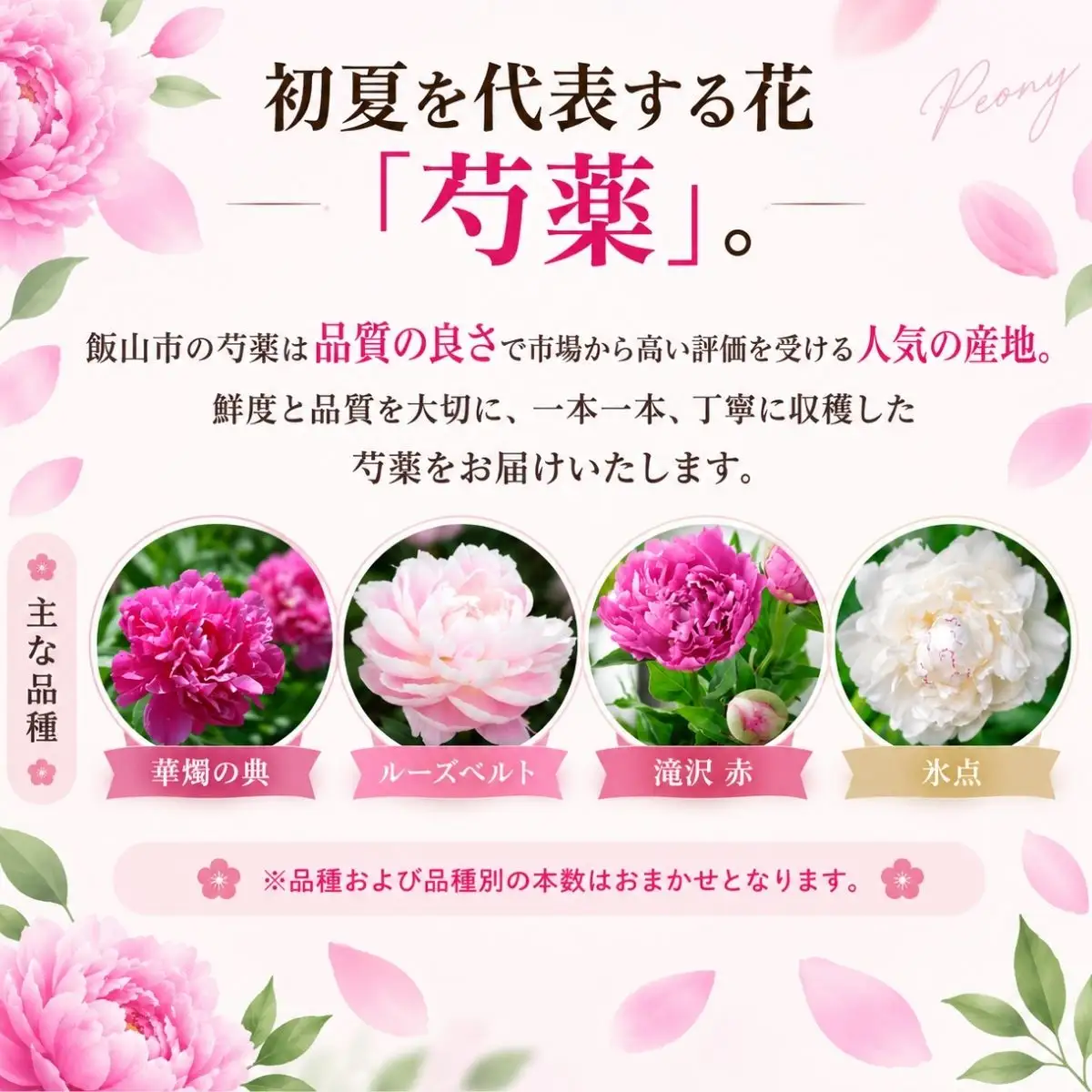 【先行予約】芍薬 切花 おまかせ2〜3品種 25本セット | 木内ファーム