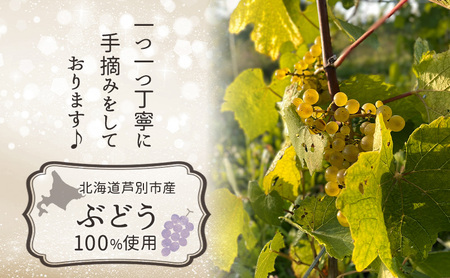 芦別市 スパークリングワイン Polaris 2024 FuSa vineyard