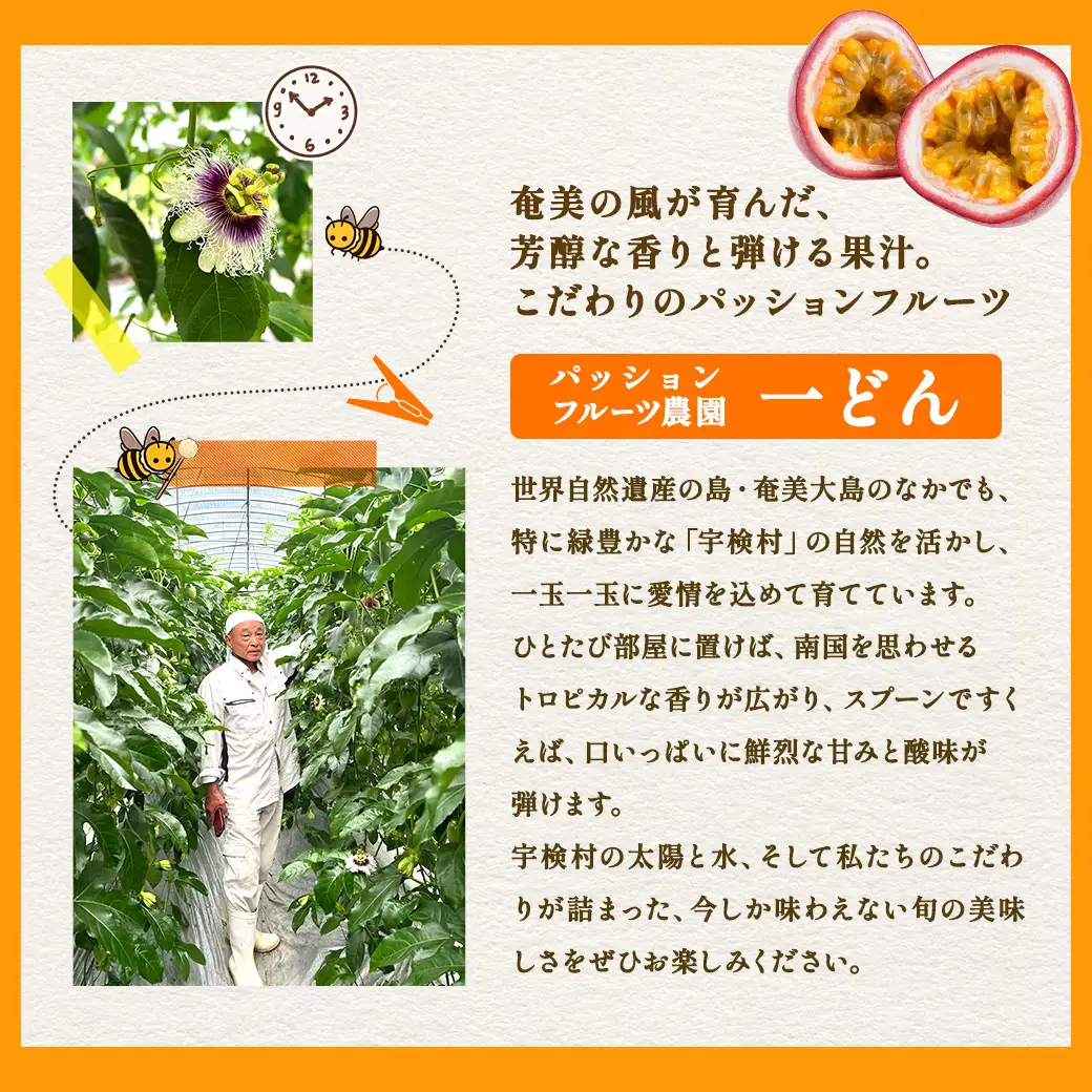 パッションフルーツ 家庭用 (バラ詰 1kg) 【7月～9月頃出荷開始】サイズ混合 リリコイ 果物 フルーツ デザート 人気 南国 デザート 奄美大島 宇検村 鹿児島 一どん