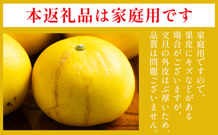 土佐文旦 5kg 家庭用 文旦 nm-0008