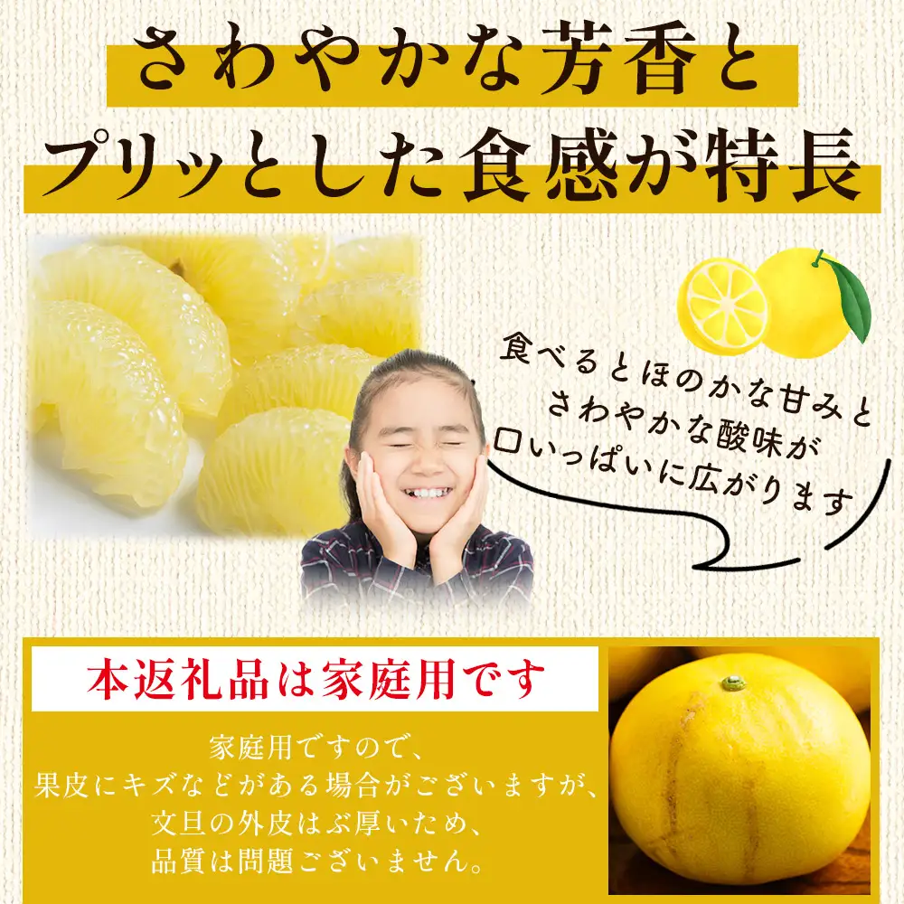 土佐文旦 家庭用 10kg （L〜2L混合） 文旦 nm-0009