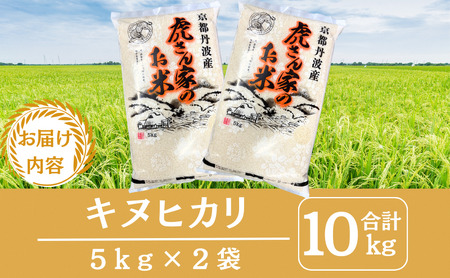 キヌヒカリ 10kg 米 お米 京都丹波産 キヌヒカリ