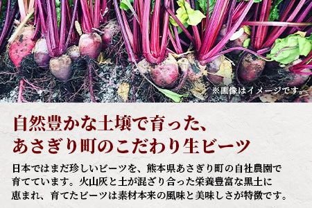 【訳あり】熊本県産 生 ビーツ 2kg スーパーフード 高栄養 びーつ beet 生 あさぎり農園 野菜 根菜 美容 健康 115-0610