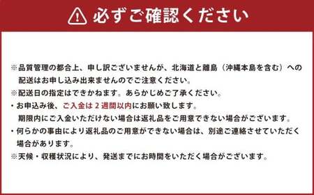 博多甘うぃ （キウイフルーツ） 約3.6kg 【2026年11月上旬～11月下旬発送予定】 キウイ 果物 フルーツ 九州 福岡県 香春町 冷蔵