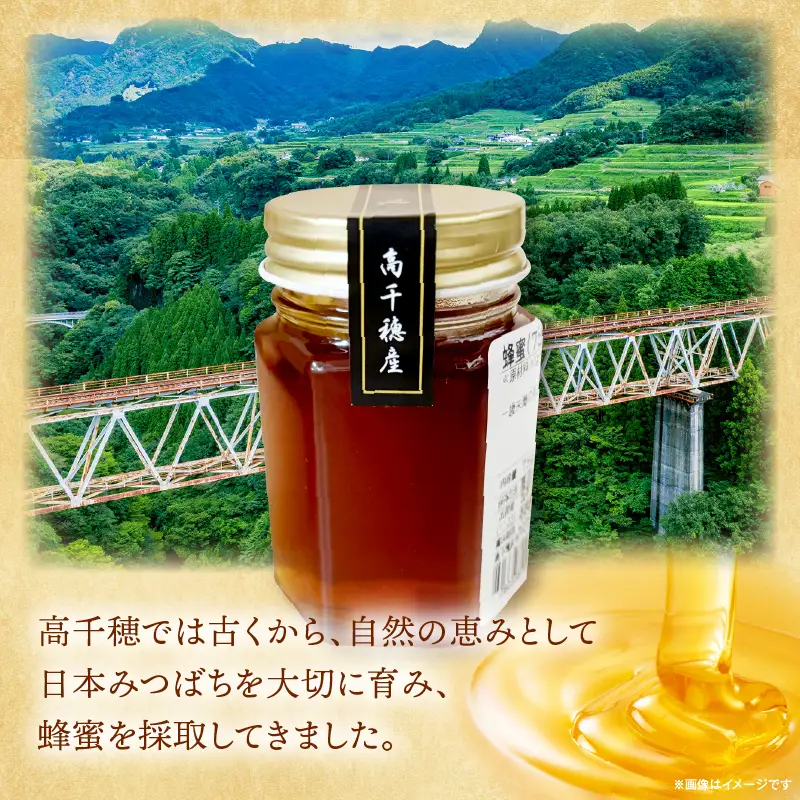 日本みつばち 高千穂の純粋蜂蜜 75g×1本|蜂蜜 はちみつ 日本みつばち 純粋蜂蜜 国産蜂蜜 天然蜂蜜 垂れ蜜 蜜蜂 希少 蜂蜜 濃厚 花 伝統製法 特産品 ふるさと納税 返礼品 宮崎県 高千穂町 | _Tk005-099-0751