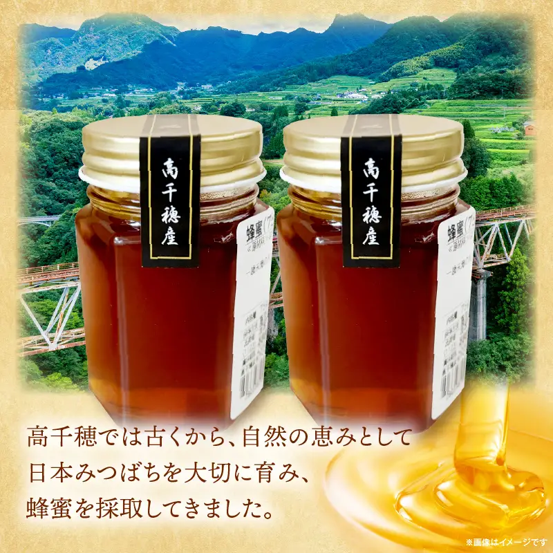 日本みつばち 高千穂の純粋蜂蜜 75g×2本|蜂蜜 はちみつ 日本みつばち 純粋蜂蜜 国産蜂蜜 天然蜂蜜 垂れ蜜 蜜蜂 希少 蜂蜜 濃厚 花 伝統製法 特産品 ふるさと納税 返礼品 宮崎県 高千穂町 | _Tk005-099-0752