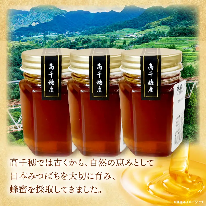 日本みつばち 高千穂の純粋蜂蜜 75g×3本|蜂蜜 はちみつ 日本みつばち 純粋蜂蜜 国産蜂蜜 天然蜂蜜 垂れ蜜 蜜蜂 希少 蜂蜜 濃厚 花 伝統製法 特産品 ふるさと納税 返礼品 宮崎県 高千穂町 | _Tk005-099-0753