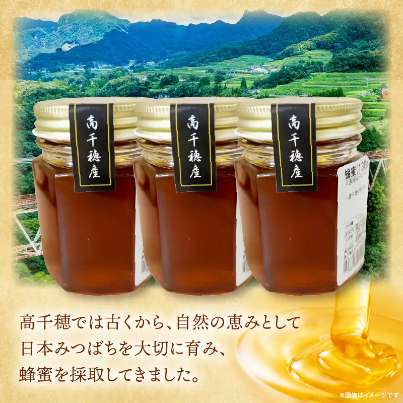 日本みつばち 高千穂の純粋蜂蜜 130g×3本|蜂蜜 はちみつ 日本みつばち 純粋蜂蜜 国産蜂蜜 天然蜂蜜 垂れ蜜 蜜蜂 希少 蜂蜜 濃厚 花 伝統製法 特産品 ふるさと納税 返礼品 宮崎県 高千穂町 | _Tk005-099-1303