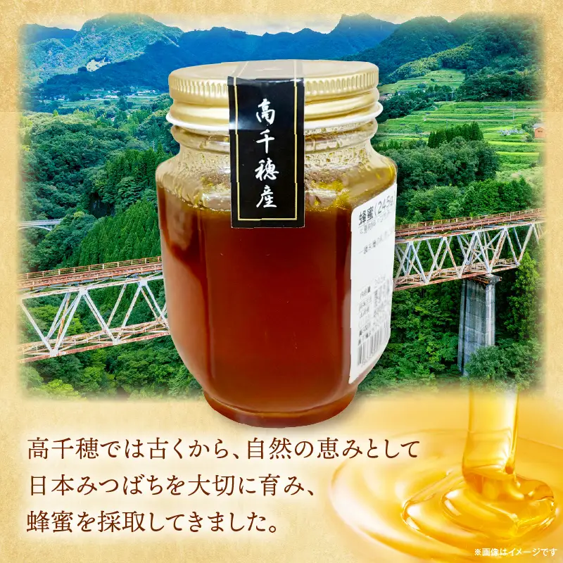 日本みつばち 高千穂の純粋蜂蜜 245g×1本|蜂蜜 はちみつ 日本みつばち 純粋蜂蜜 国産蜂蜜 天然蜂蜜 垂れ蜜 蜜蜂 希少 蜂蜜 濃厚 花 伝統製法 特産品 ふるさと納税 返礼品 宮崎県 高千穂町 | _Tk005-099-2451
