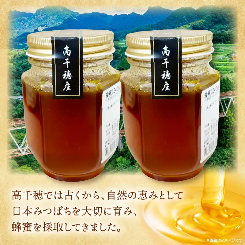 日本みつばち 高千穂の純粋蜂蜜 245g×2本|蜂蜜 はちみつ 日本みつばち 純粋蜂蜜 国産蜂蜜 天然蜂蜜 垂れ蜜 蜜蜂 希少 蜂蜜 濃厚 花 伝統製法 特産品 ふるさと納税 返礼品 宮崎県 高千穂町 | _Tk005-099-2452