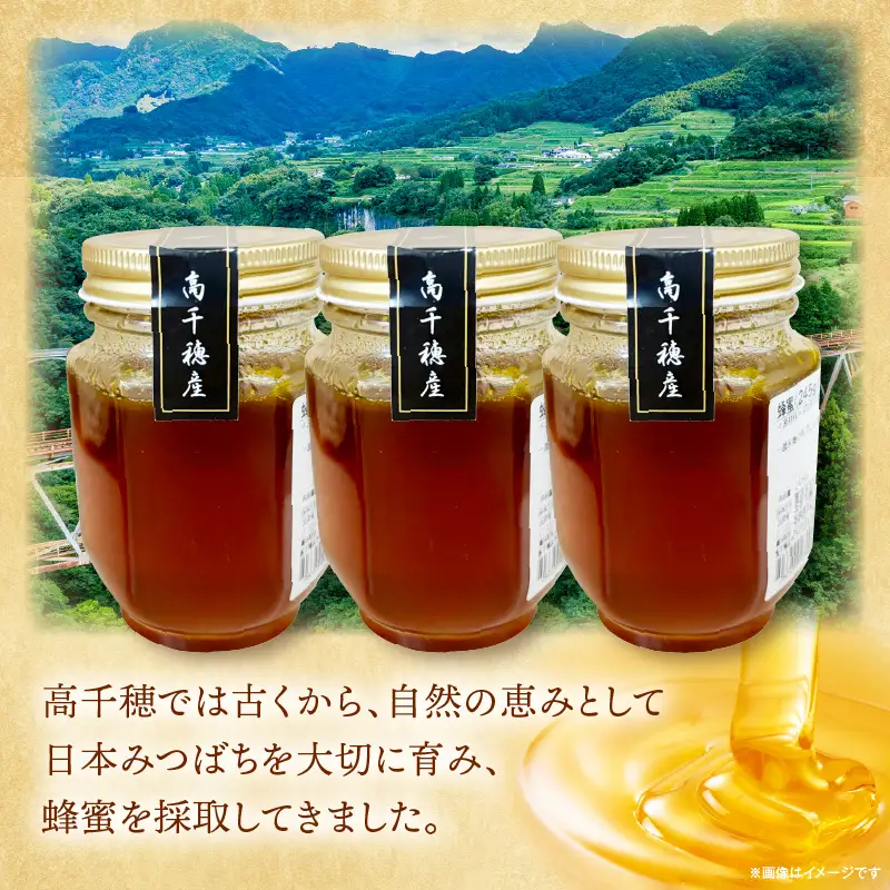 日本みつばち 高千穂の純粋蜂蜜 245g×3本|蜂蜜 はちみつ 日本みつばち 純粋蜂蜜 国産蜂蜜 天然蜂蜜 垂れ蜜 蜜蜂 希少 蜂蜜 濃厚 花 伝統製法 特産品 ふるさと納税 返礼品 宮崎県 高千穂町 | _Tk005-099-2453