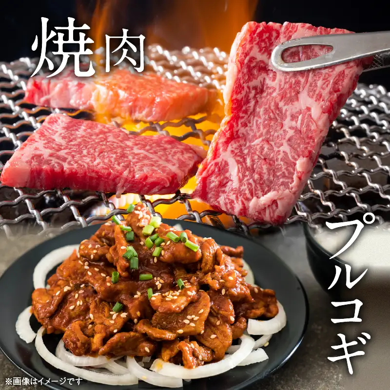 【11月配送】牛肉 厳選 宮崎牛 赤身 焼肉 計1.6kg_ED13-26-11