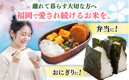 【3回定期便】令和7年度産 精米 夢つくし 10kg /築上町【アルク農業サービス合同会社】 米 こめ 白米[ABAB011]