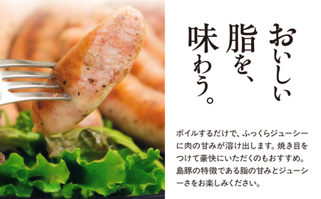 奄美 クラフトビール ＜ 5種 ＞ ビアカップ 受賞 5本セット と 奄美島豚 あかりんとんソーセージ （ 6本 ）【 通常箱 】 A126-013-02 ビール 酒 ソーセージ 肉