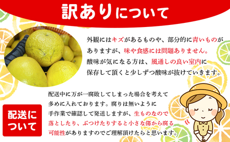 ＜木下さんちのニューサマーオレンジ 訳あり 約5kg（大中小サイズ混み）＞ 柑橘類 日向夏 ミカン 蜜柑 果物 くだもの フルーツ 国産 特産品 木下農園 愛媛県 西予市【常温】『2027年4月上旬～5月中旬に順次出荷』MKS0007